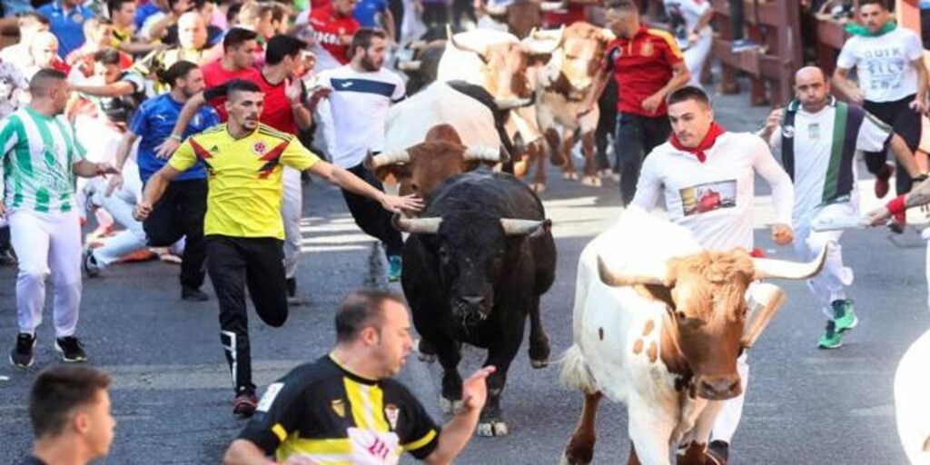 El Covid Obliga A Suspender Los Encierros De La Pamplona Chica