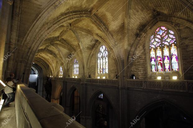 Visita A Las Cubiertas De La Catedral Diferentes Vistas De Sevilla