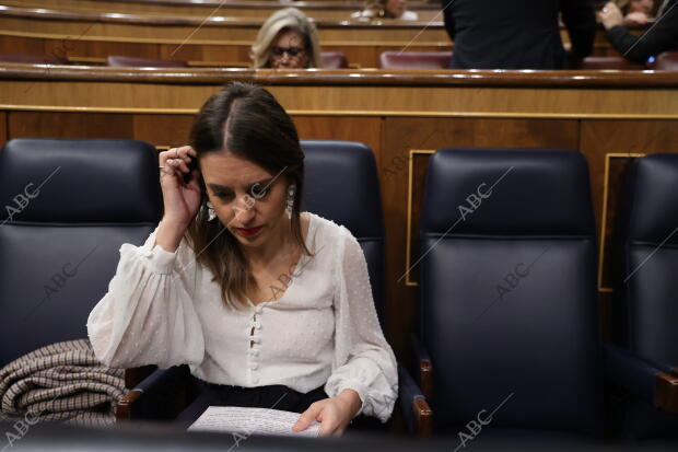 Pleno sesión de control al Gobierno Archivo ABC