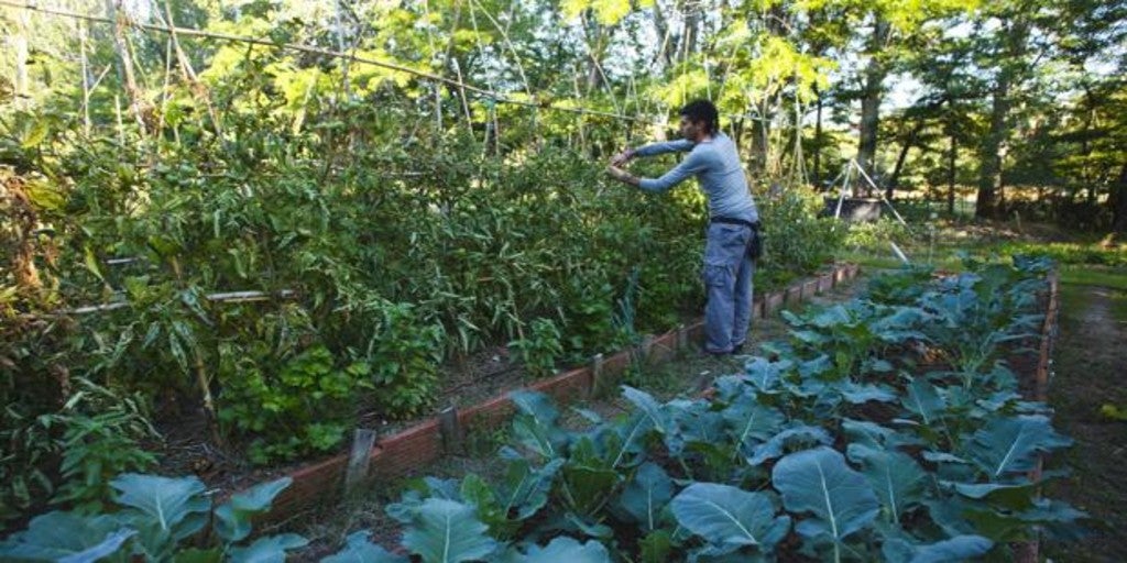 Cómo deben ser las ciudades sanas y resilientes del futuro