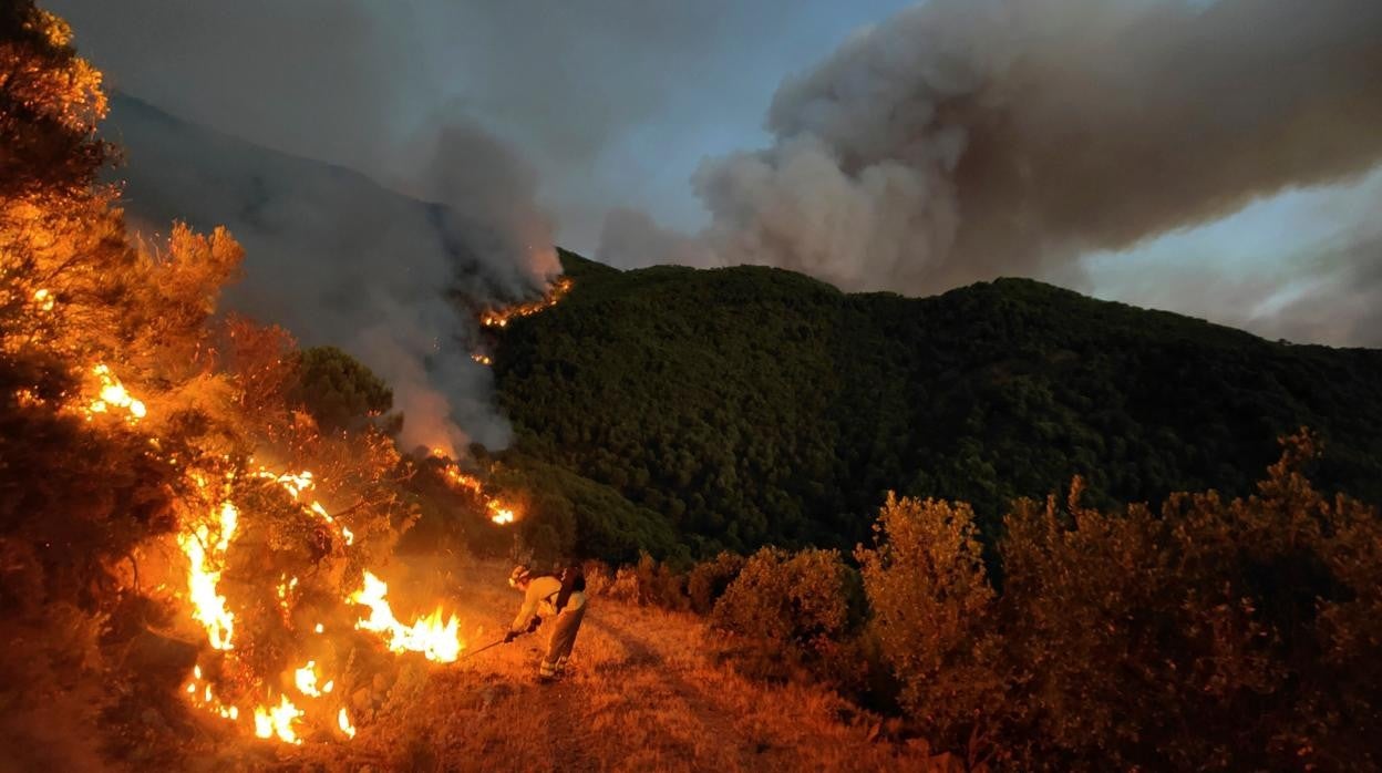 Sierra Bermeja D Nde Est La Zona Del Incendio Caracter Sticas E