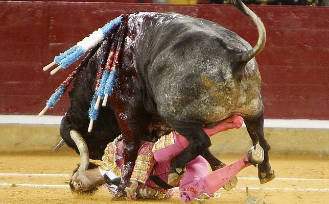 «La cornada fue hecha como con un bisturí»