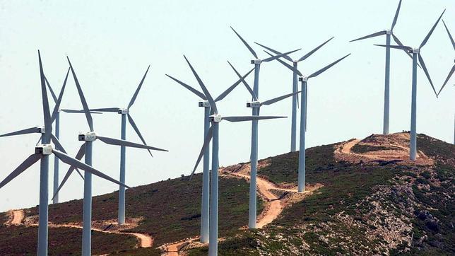 Los parques eólicos matan hasta 18 millones de aves y murciélagos cada año