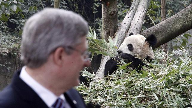 China y Canadá sellan la «diplomacia del panda»