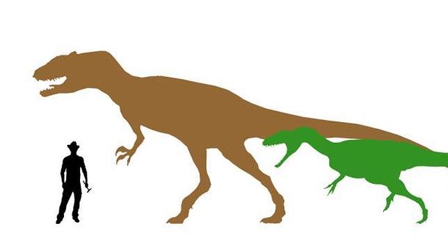 Hallan el diente de dinosaurio carnívoro más grande de España