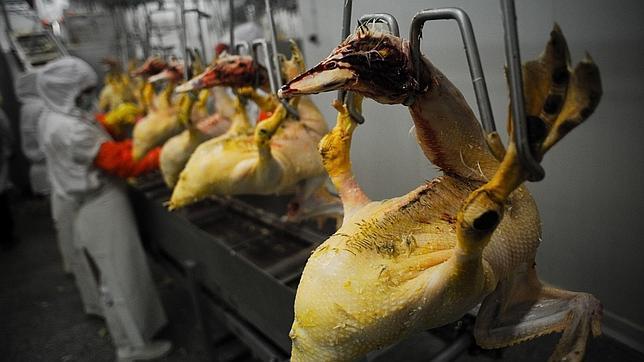 California deja de comer foie-gras