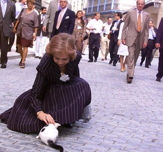 La Reina, los abogados y los derechos de los animales