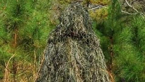 Un hombre disfrazado de «Bigfoot» muere atropellado en EE.UU.