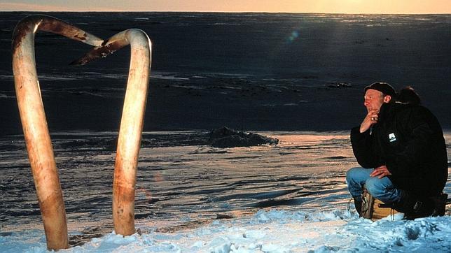 Hallan en Rusia células de mamut en buen estado para su posible clonación