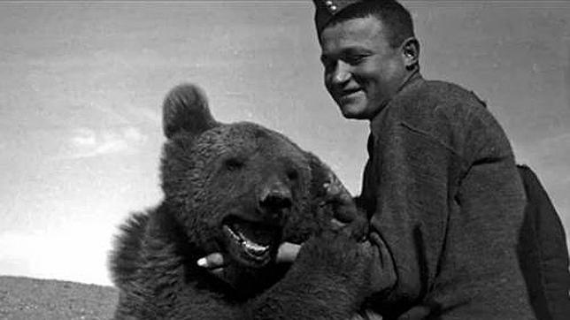 La historia de «Wojtek», el oso pardo amante de la cerveza que luchó contra los nazis
