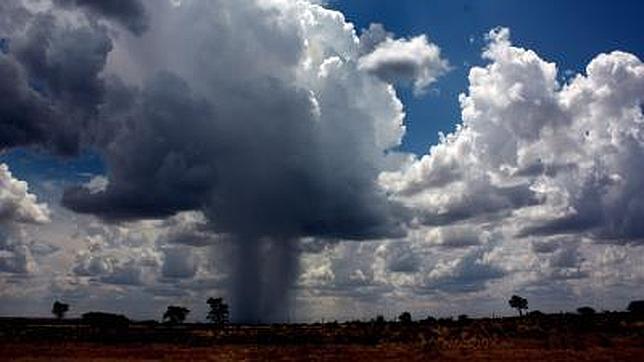 Hallan vida (y mucha) en una nube de tormenta