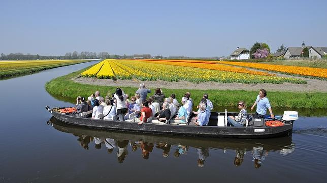 Parque Keunkenhof: en ningún otro lugar se pueden ver tantos tulipanes