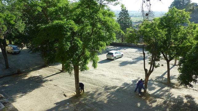 La tala del Carmen reabre el debate del tráfico en el Casco