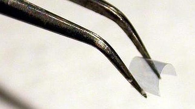 Una membrana del nuevo material Metaflex