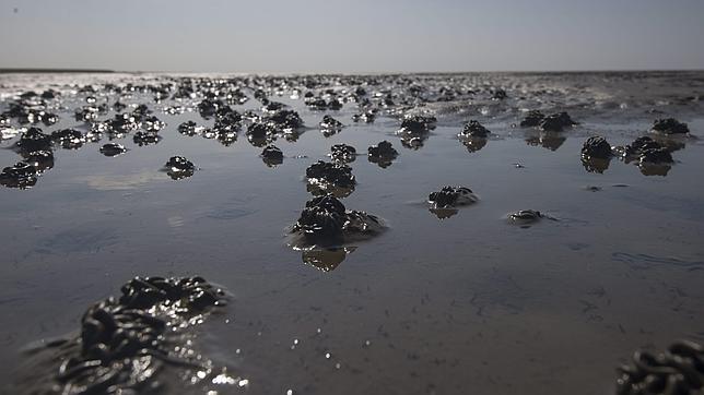 Las huellas de los gusanos al bajar la marea en el Mar del Norte