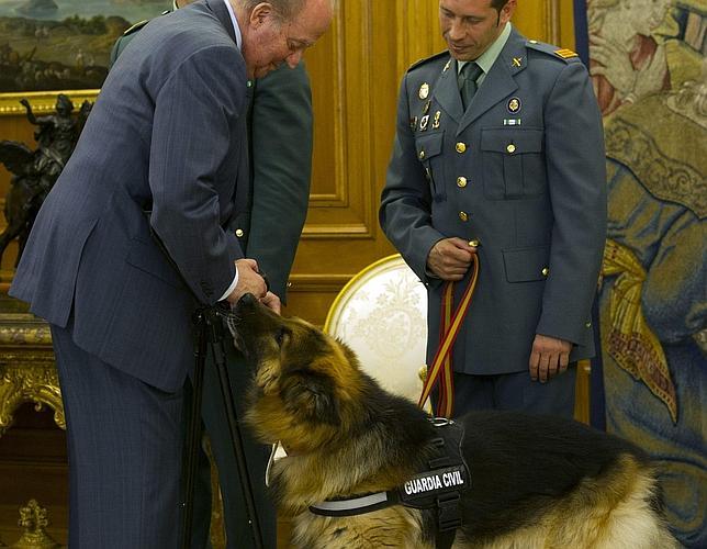Muere «Ajax», el pastor alemán condecorado por el Rey tras evitar una masacre