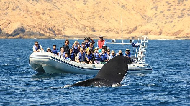 México: Diez razones para enamorarse de Los Cabos