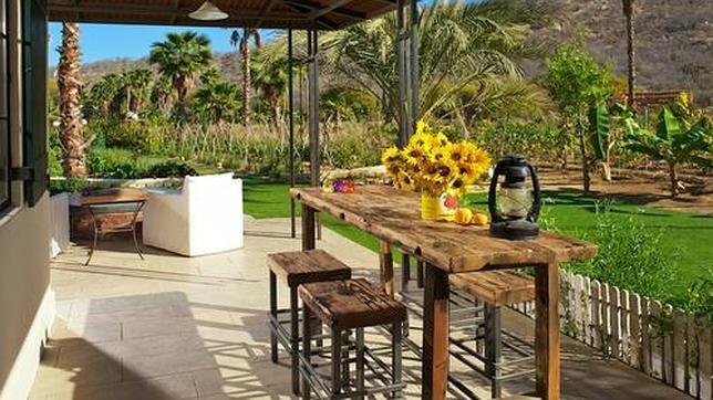 Una imagen de la granja Flora Farms