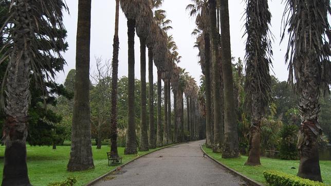 La colección de plantas integra sobre todo especies tropicales y subtropicales 