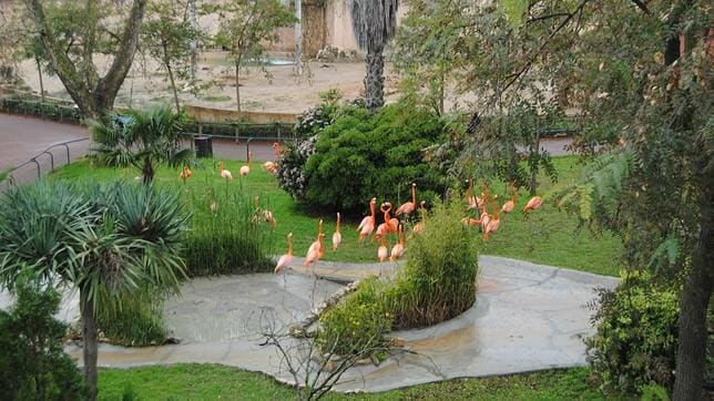 Es el primer parque con fauna y flora de la península 