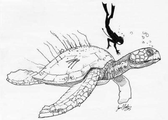 La tortuga monstruosa que tardó 165 años en mostrarse