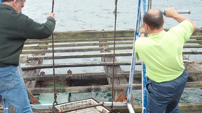 Esta marea roja llega después de los episodios del pasado octubre