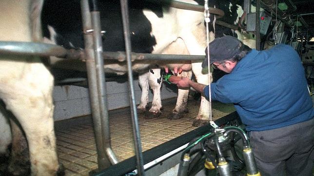 Los productores han realizado fuertes inversiones estos años para modernizar sus granjas