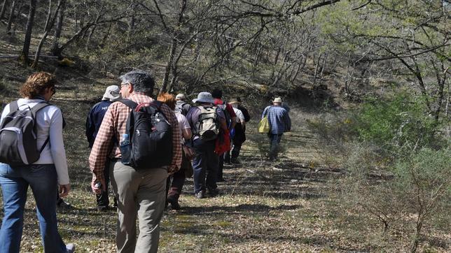 Los asistentes a la ruta guiada por el sendero cercano al monasterio