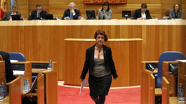 Carmen Iglesias, única diputada del Grupo Mixto tras abandonar AGE, en un pleno este curso