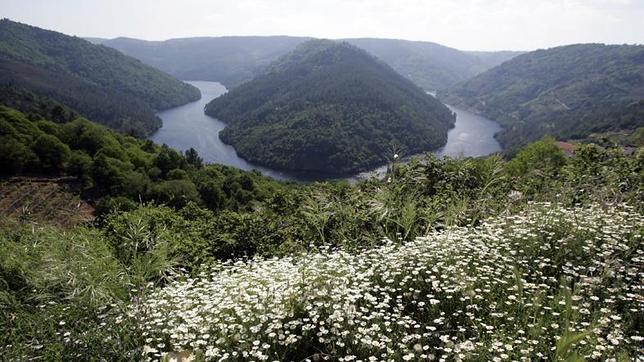 La Ribeira Sacra se ubica entre Lugo y Orense