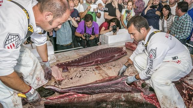 Ronqueo de atún de Petaca Chico en la Lonja vieja de Barbate