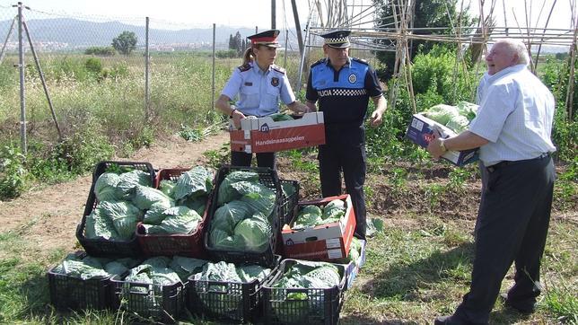 el tiempo en sant boi