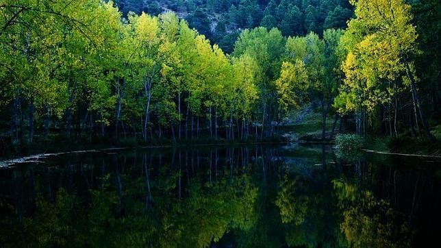 Calares del río Mundo y de la Sima