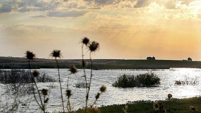Las Tablas de Daimiel es el único lugar donde podemos ver un ecosistema de tablas fluviales 