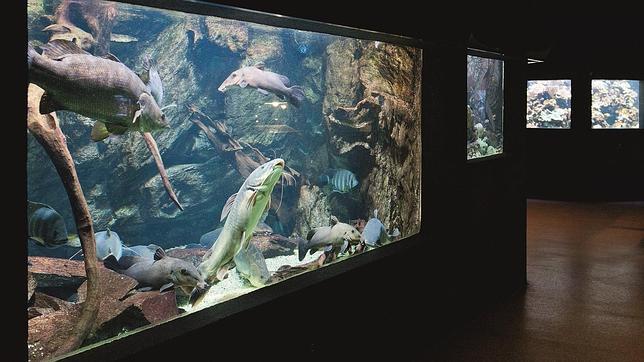 Once secretos de París que quizá aún no conozcas