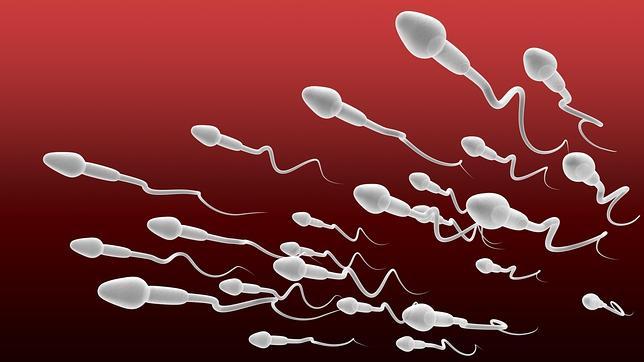 Cuanto vale una vasectomia en chile