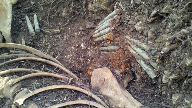 Imagen de algunos de los restos hallados