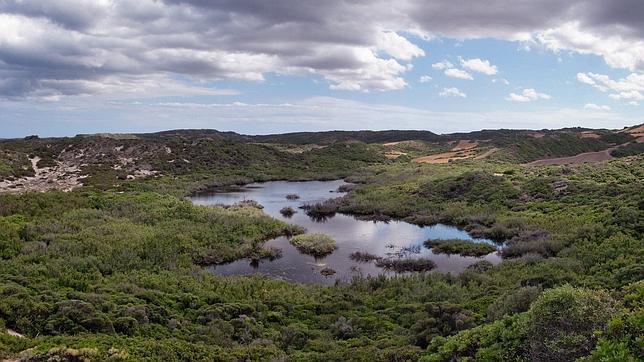 Parque Natural de S'Albufera