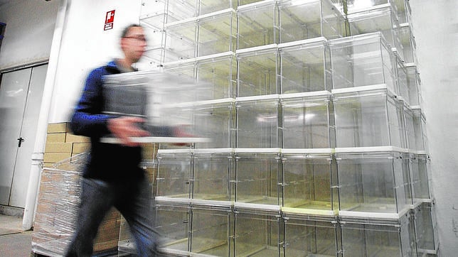 Imagen del almacén electoral con las urnas dispuestas