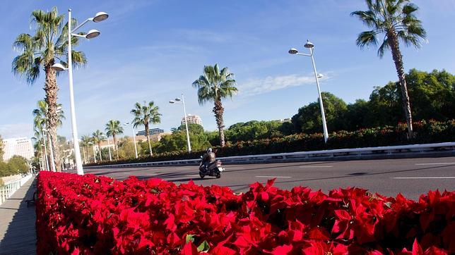 Imagen del puente de las Flores de Valencia engalanado con motivo de la Navidad