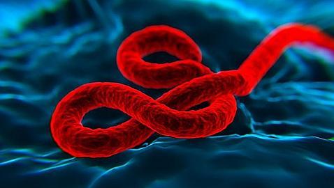 Virus del ébola