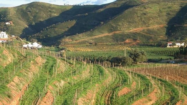 Quinta del Francés, en Odeluca