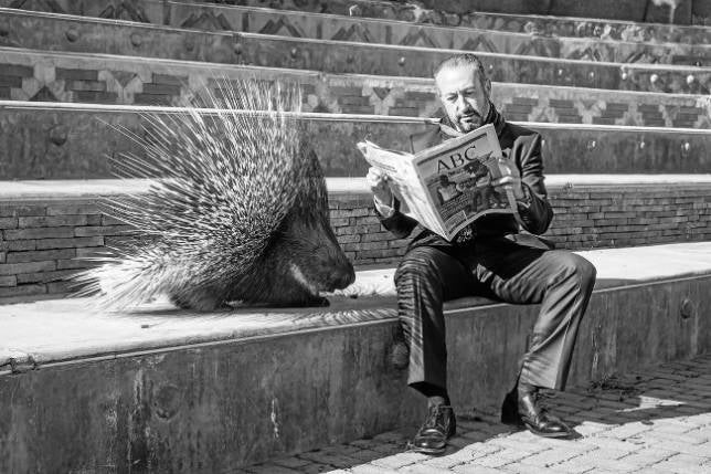 Luis Ángel Martínez Juez, con un ejemplar de ABC en Bioparc 