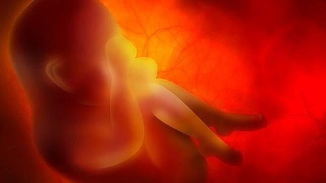 El secreto en la lucha contra el cáncer podría estar en la placenta