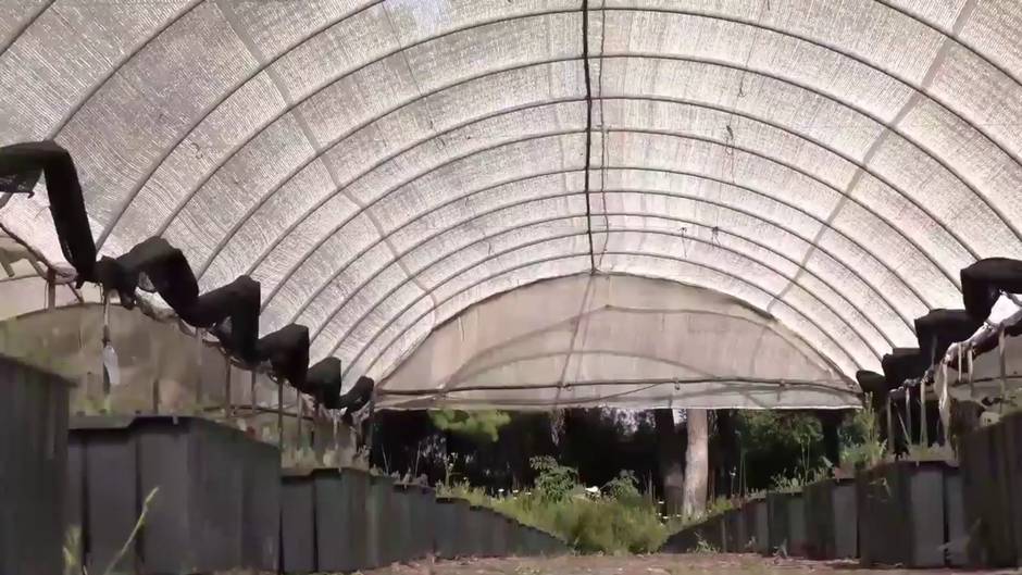 Moreno destaca el aumento del 60% de la inversi&oacute;n para la reforestaci&oacute;n en Andaluc&iacute;a