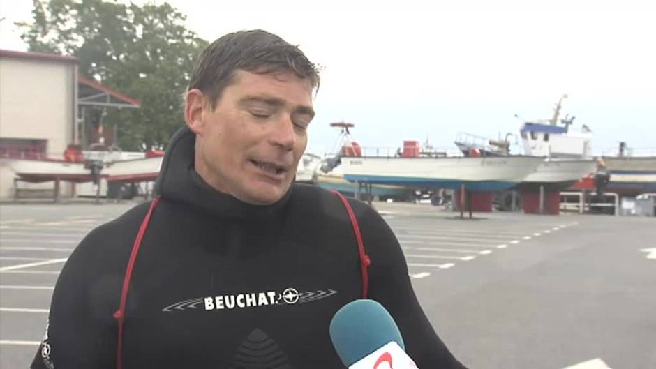 El delf&iacute;n "Manoli&ntilde;o" pone en peligro la integridad f&iacute;sica de los mariscadores de la r&iacute;a de Noia