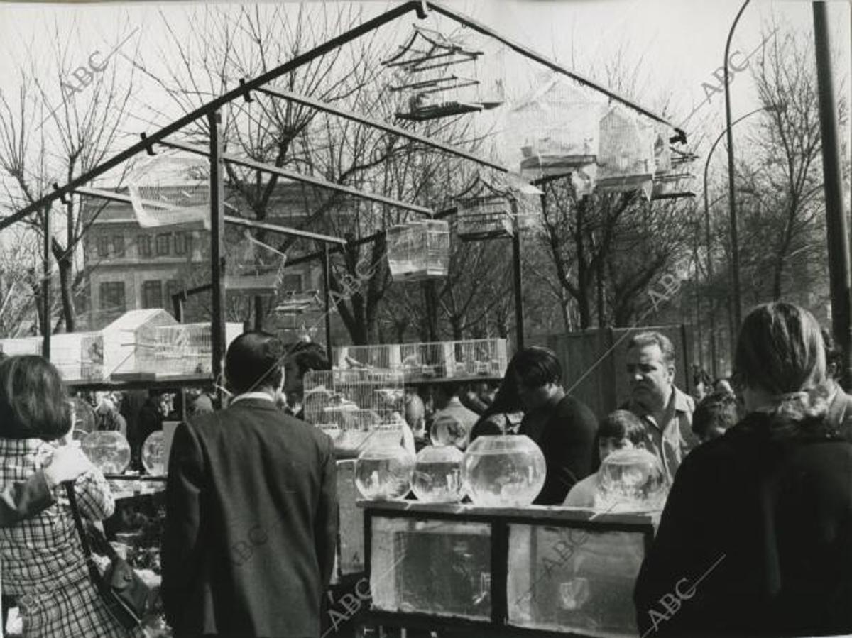 Un puesto de venta de animales en los años 70