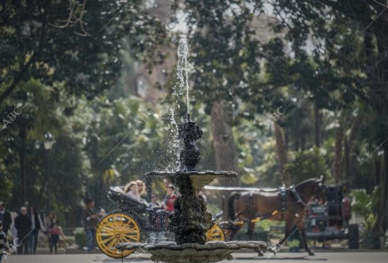 Una calesa tras la fuente del estanque de los Lotos