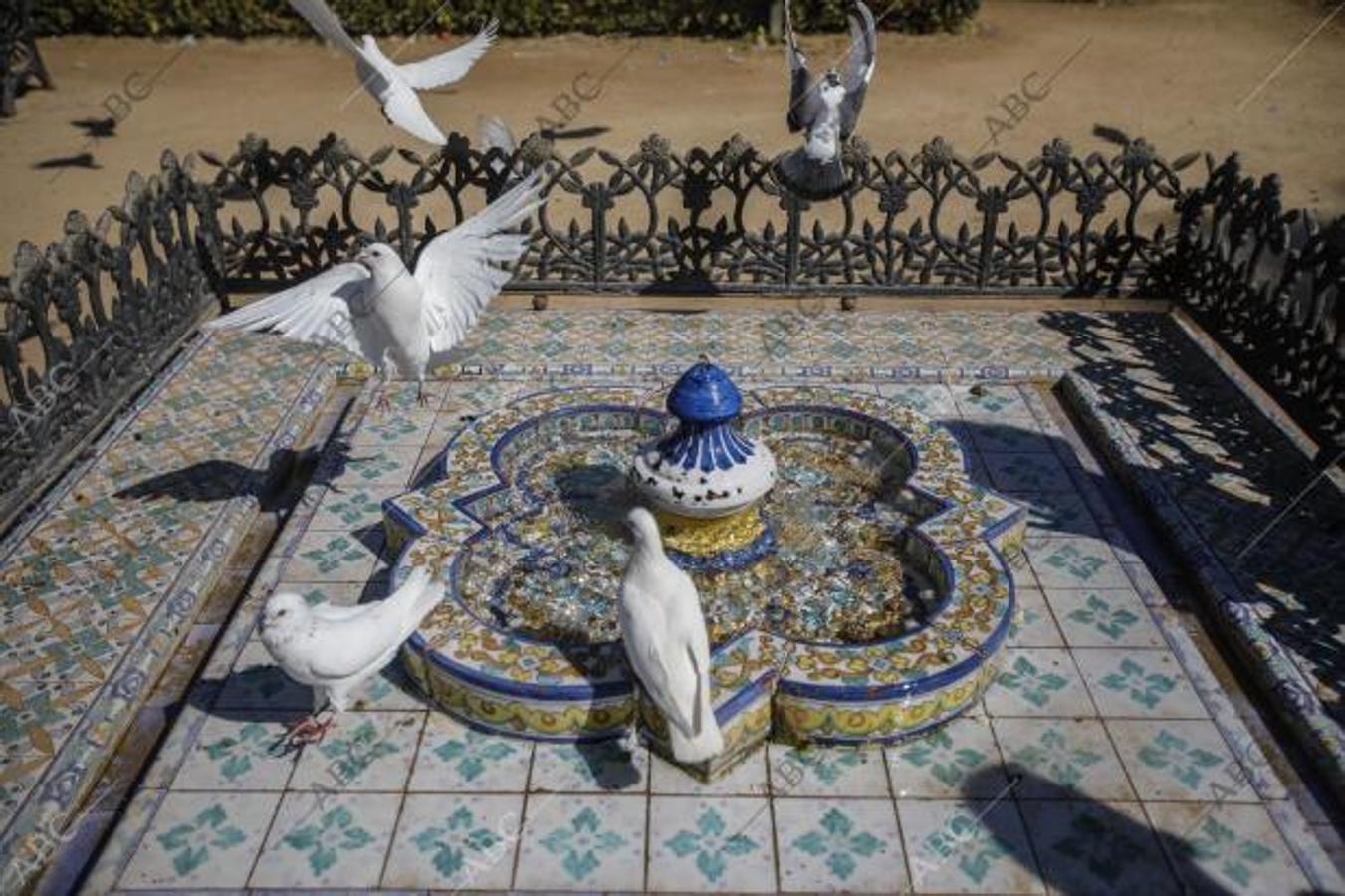 Una de las fuentes de la plaza de las Palomas