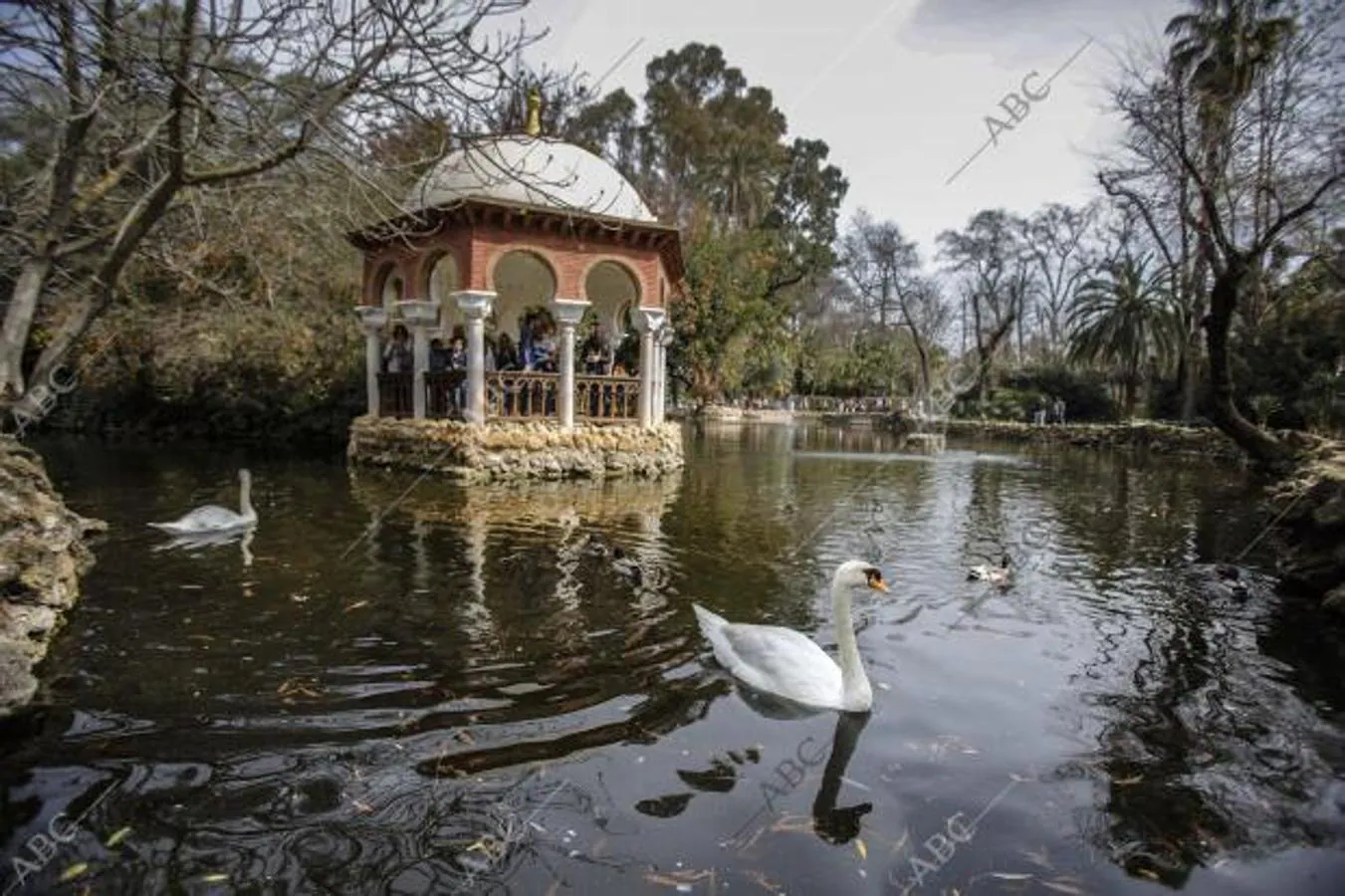 La isleta de los Patos en el estanque principal